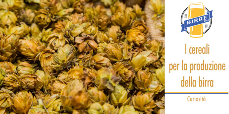 I cereali per la produzione della birra - Curiosità e recensioni dal ...